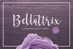 Bellattrix: The Script Font That Elevates Brand Identity
