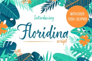 Floridina Font: Elevate Your Brand Identity