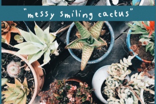 Messy Smiling Cactus Font: A Designer’s Review