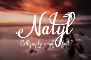 Natyl: A Playful Script Typeface for Web Design