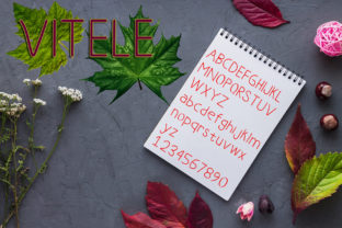 Vitele Font Review: Clean Sans Serif for Campaigns