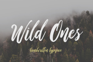 Wild Ones Font: Elevate Your Campaign Visuals