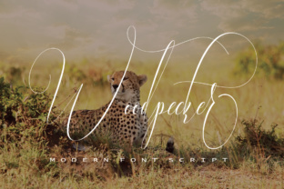 Woodpecker: A Thin Script Font for Elegant Crafts
